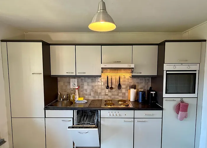 Uptown Free Parking Daire Interlaken